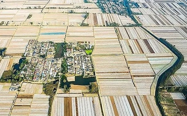 车辐山镇“小田变大田”，75000余亩农田9月