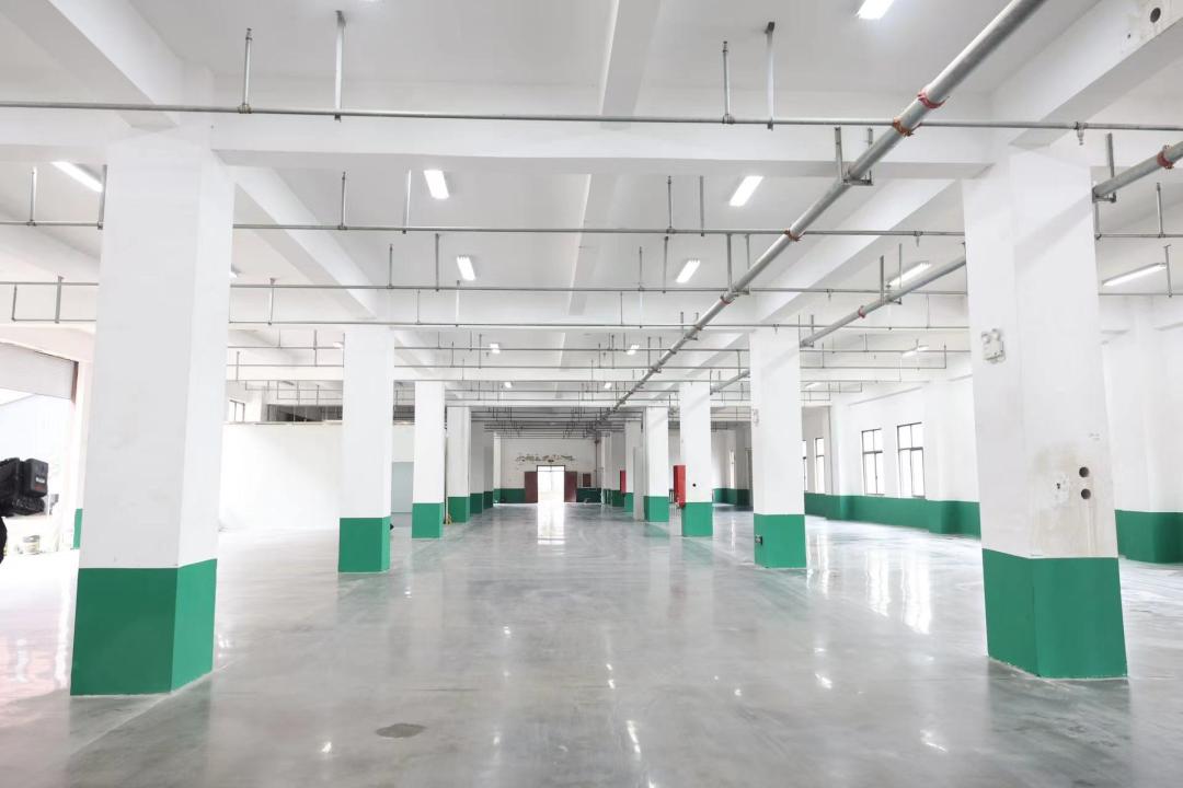 05.jpg